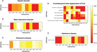 Systems Biology Understanding of the Effects of Lithium on Affective and Neurodegenerative Disorders